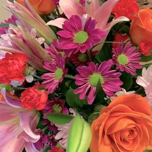 Meet your Posher, Elizabeth